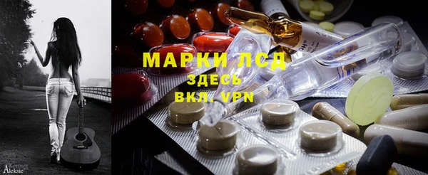 прущие грибы Алексеевка