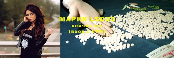 прущие грибы Алексеевка