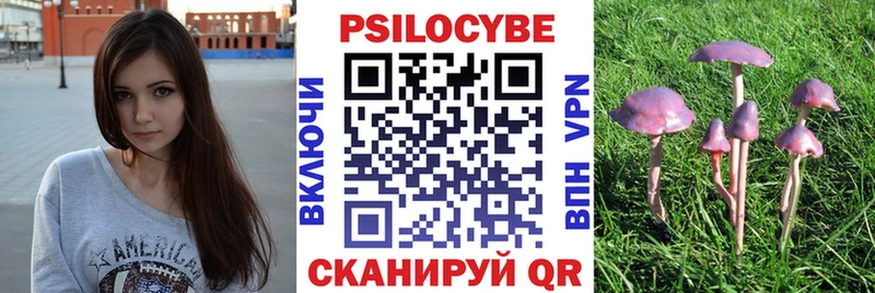 продажа наркотиков  Спасск  kraken tor  Галлюциногенные грибы MAGIC MUSHROOMS 